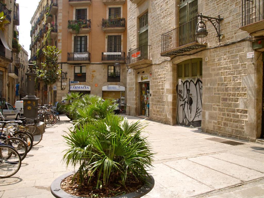 Hostal Nitzs Bcn — Foto 1